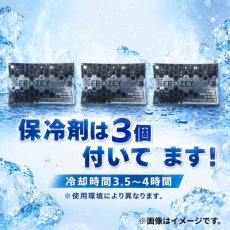 画像3: 保冷剤3個付き アイスベスト コンパクト ストレッチ 仕事 作業 アイスパック ベスト 熱中症対策 軽量 フリーサイズ 053 (3)