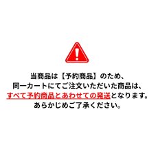 画像2: 【予約 2月下旬発送予定】ユニバーサルオーバーオール プロフェッショナル 養生マット カーペット マット プロテクションマット Lサイズ 90×180cm UN26539180 (2)