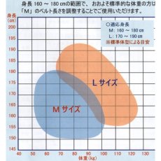 画像6: 椿モデル Y型 フルハーネス 安全帯 新規格 墜落制止用器具 黒 HYF2 Lサイズ HYF2-L-BL (6)