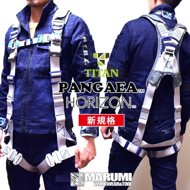 タイタン　HORIZON フルハーネス タイタン HORIZON フルハーネス ブラック PAHN10A-BL-L [TAITAN