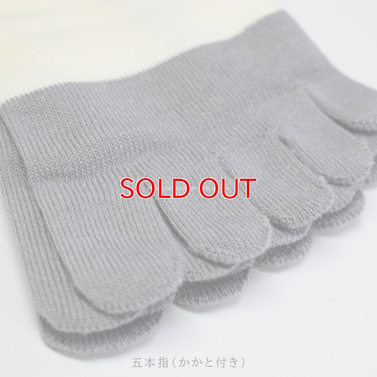 画像5: ユニバーサルオーバーオール 靴下 ソックス メンズ 2足セット コットン 綿 ポリエステル 5本指 UN-501 (5)